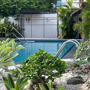 Parrot Resort Moalboal